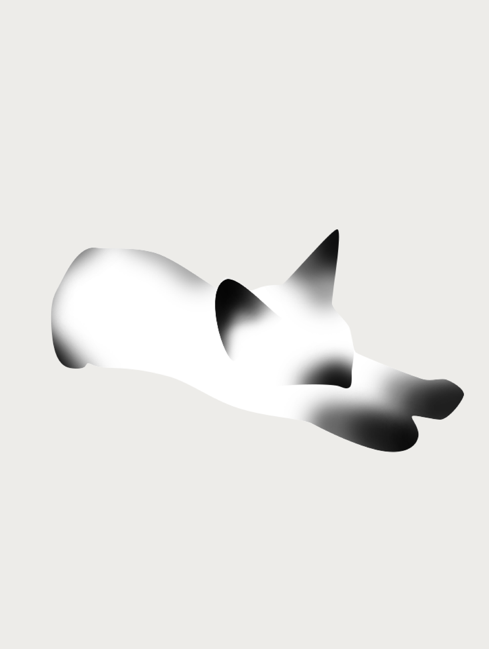 暹罗猫 02