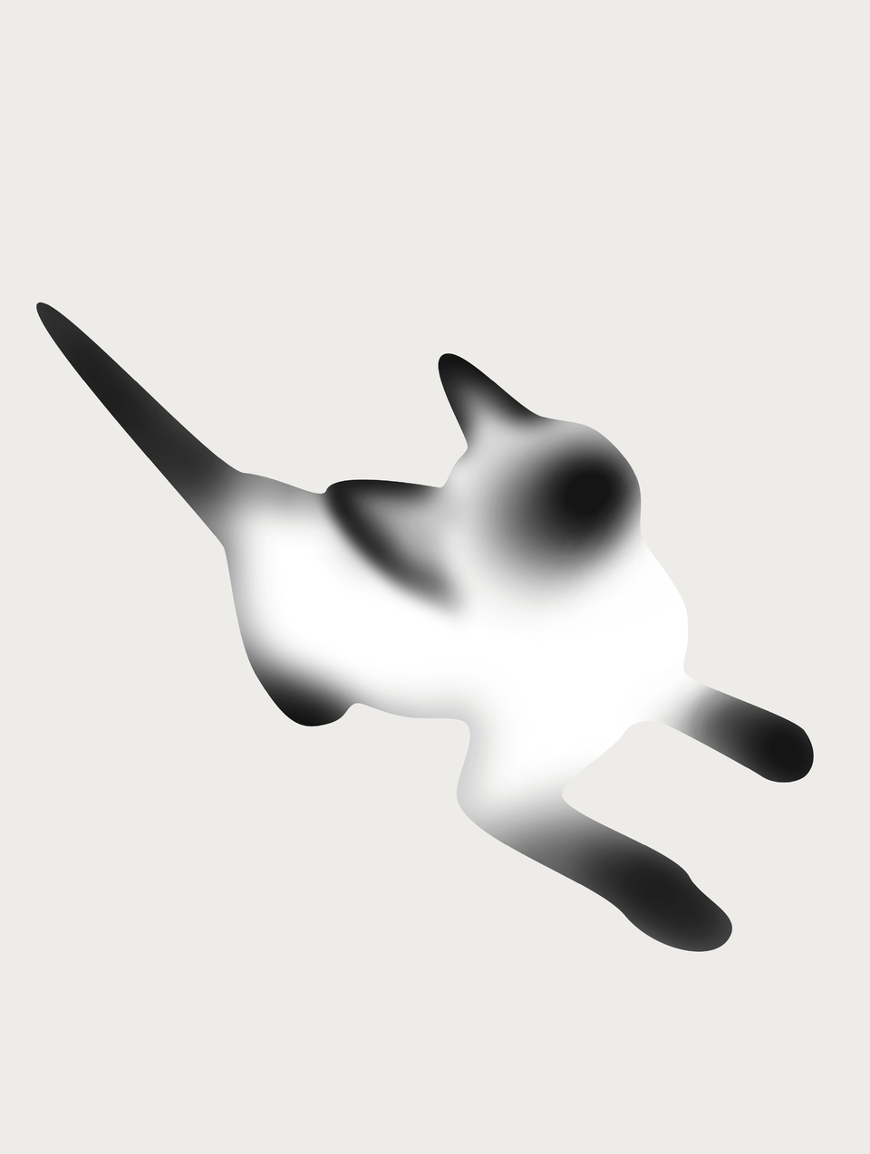 暹罗猫 04